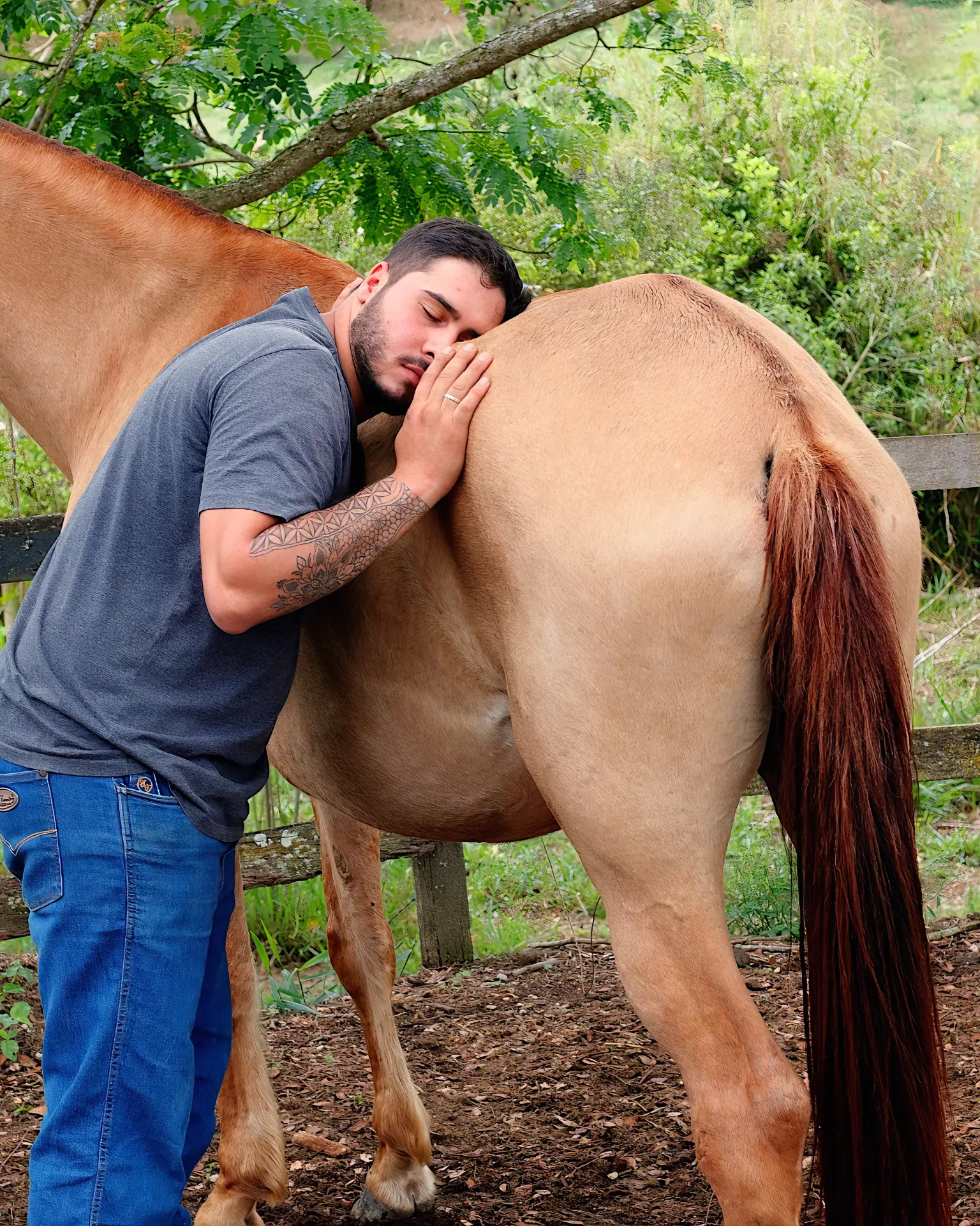 Aluno com o ouvido próximo ao abdômen de um cavalo, em ambiente rural