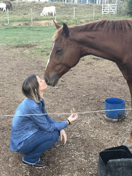 Joana Beling, médica veterinária, cumprimentando um cavalo castanho no campo