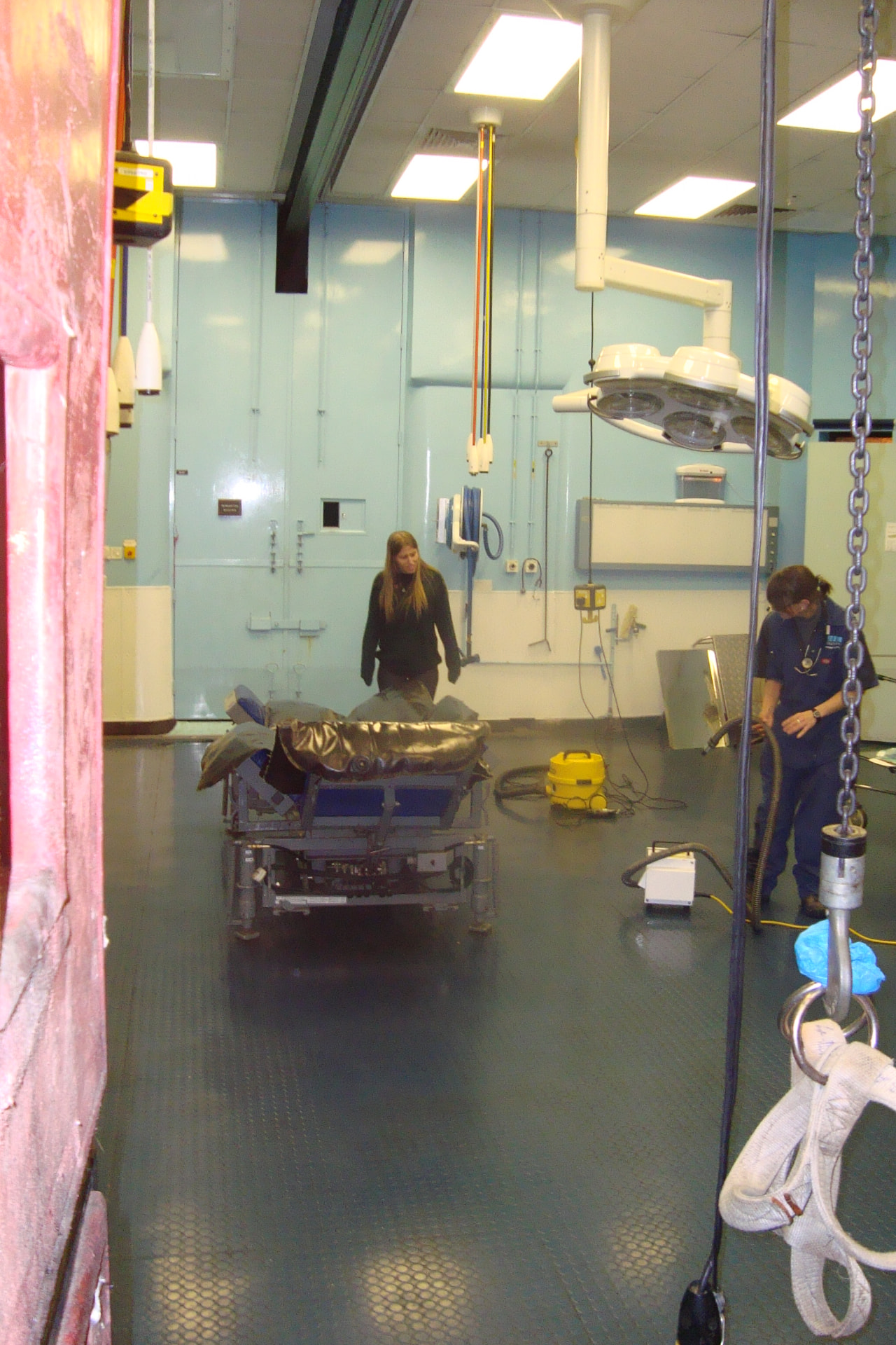 Sala cirúrgica equina do hospital da Universidade de Liverpool, com foco cirúrgico, mesa e equipe